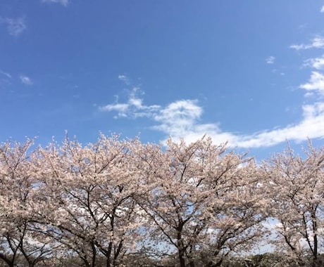 看護と介護のアドバイスいたします 病気の時、介護をする、受ける、資格取得したい等ご相談下さい。 イメージ2