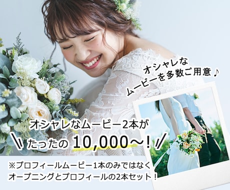 最上級のオープニングとプロフィールを格安制作します イメージ1
