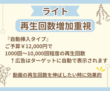YouTube広告運用｜再生回数・登録者増やします 【伸びない原因を特定】YouTubeを本気で伸ばします イメージ2