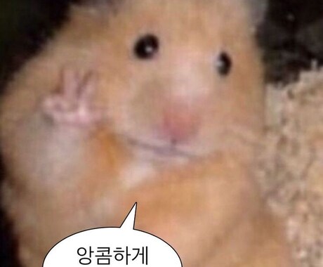 どんな文章でも自然な韓国語で翻訳します 日本留学3年、日韓恋愛3年歴持ちの韓国人がするネイティブ翻訳 イメージ1
