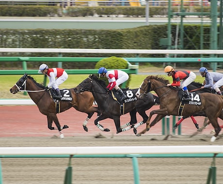 日本の競馬は仕組まれております これまで聞いたことのない理論を体感しませんか？ イメージ2
