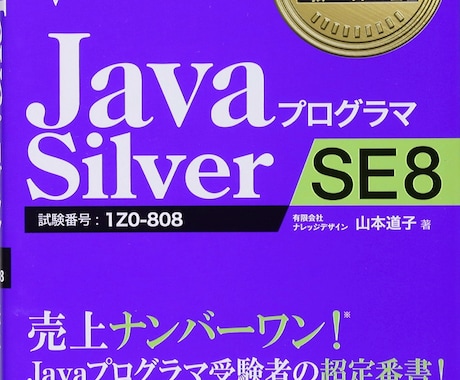 java SE8 silverの資格取得手伝います 転職や就職活動をしてる人に武器を イメージ1