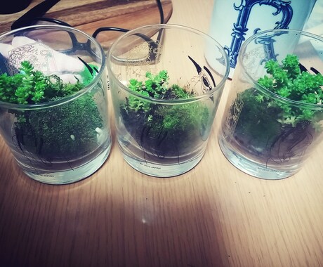 好きを仕事にしたいをアドバイスします 明日に繋がるこの瞬間が大事だと感じることの出来る人へ イメージ1