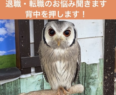 退職・転職・開業に関するモヤモヤお聞きします 背中を押して！会社員から個人事業主になった体験談を聞かせて！ イメージ1