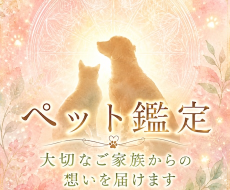 大切なペットの気持ちと伝えたいことを霊視します 言葉にできない想いを受け取り、もっと深く通い合うために イメージ1
