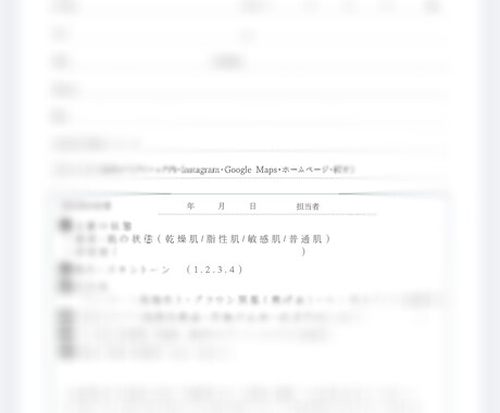現役が監修｜アートメイク専用カルテを販売します クリニック提出にも最適。手技、経過を緻密に管理するプロ仕様 イメージ2