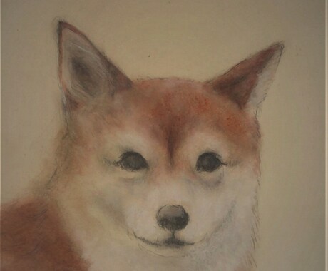 お写真を基にしたパステル画です。ます 可愛いペットや大切な方を絵にしてみませんか？ イメージ2