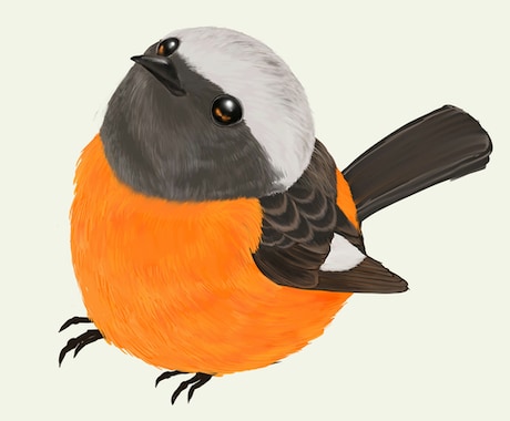 リアルな鳥のイラストを可愛らしく描きます 鳥のふわふわとした質感も表現できます。 イメージ2