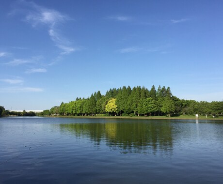 水元公園のフィッシングポイント伝授します 葛飾区随一の淡水小物釣り場水元公園の釣り場釣り方を教えます! イメージ1