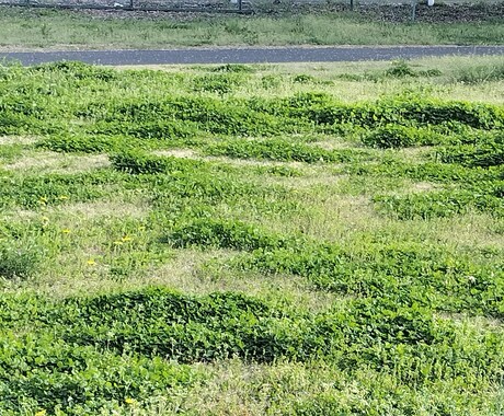 友達感覚で色々聞きます なんでも話しましょ♩聞いてほしい人おいでー♩ イメージ2