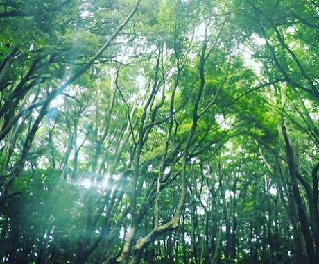 今、あなたに必要なメッセージをお伝えいたします ～新しい道を切り開きたい方へ～ イメージ1