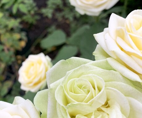 辛口注意　おふたりの未来正直に占います 結婚できるのか？不倫の恋の行方は？復縁できるのか？などOK イメージ1