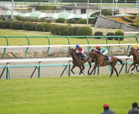 競馬で１着を当てる方法を教えます テレビの競馬中継の馬を当てるコツを教えます。 イメージ1