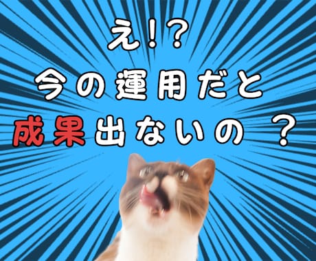 X（Twitter）運用のお悩みコンサルします X運用の改善策を目的に合わせて個別でご提案いたします イメージ1