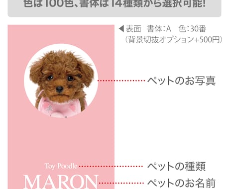シンプルでかわいいデザインのうちの子名刺を作ります 【両面印刷100枚】送料無料　セミオーダー　QRコード入り。 イメージ2
