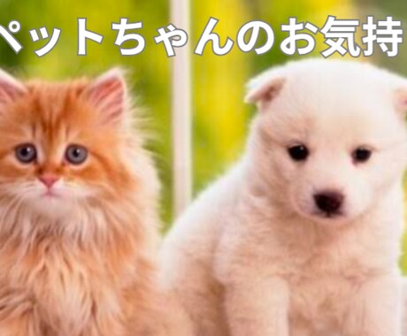 ペットちゃんがお話したい事あなたへの気持ち届けます 愛するペットちゃんたちの気持ち・感情を詠みとりお伝えします イメージ1
