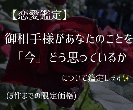 夢女子さん歓迎！今の御相手様の気持ちを占います 二次元・三次元などどんな御相手様についても伺います！ イメージ1