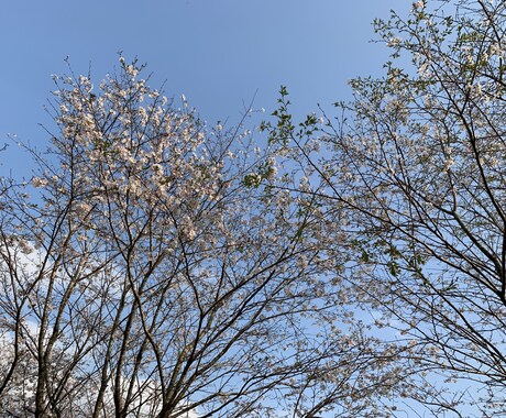 誰かと話したい…。あなたの気持ち、全部受け止めます 愚痴、雑談、相談、話し相手…。何でも話して楽になってね★ イメージ1