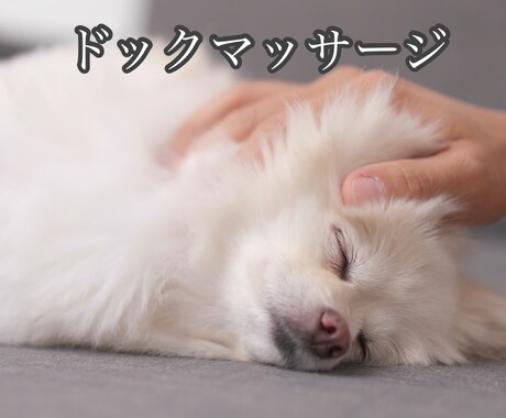 ワンちゃんとのハッピーライフを送るお手伝いします あなたのドッグライフを応援！ドッグマッサージしましょう イメージ1