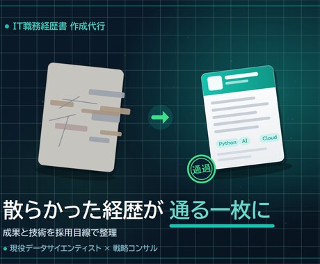 IT人材の職務経歴書を採用目線で作成します IT/データ/AI人材を統括する側の視点で伝わる職務経歴書に イメージ2