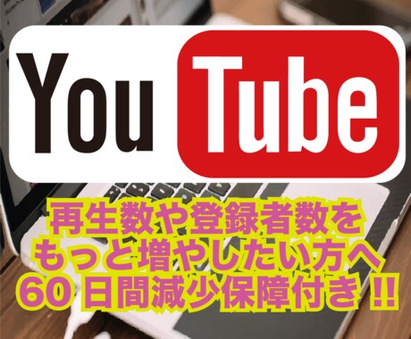 YouTubeチャンネル登録者500人増やします 登録者500人増えるまでサポートします【保証60日間】 イメージ1