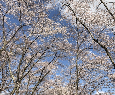 悩み相談、解決できるような内容を返信します メール確認後、すぐに返信します。 イメージ1