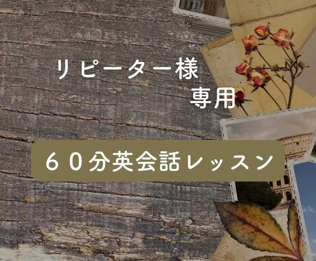 英会話レッスンをします こちらはリピーター様専用のレッスンです イメージ1