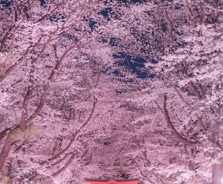 至高霊視★守護霊からの導き鑑定します 守護霊からのメッセージ｜今の守りと流れを神域霊視します イメージ2