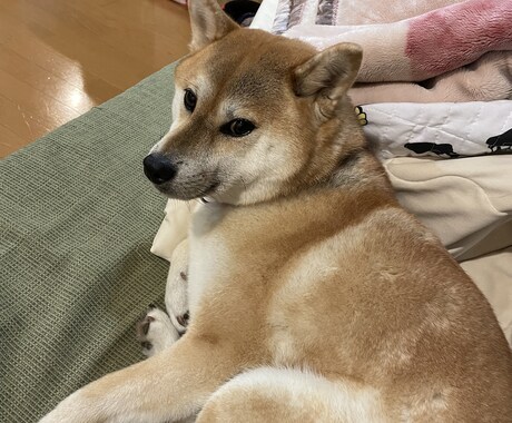 何でも聞きます！！ます 何でも聞きます。愚痴でも、悩みでも呟いてみませんか？？ イメージ1