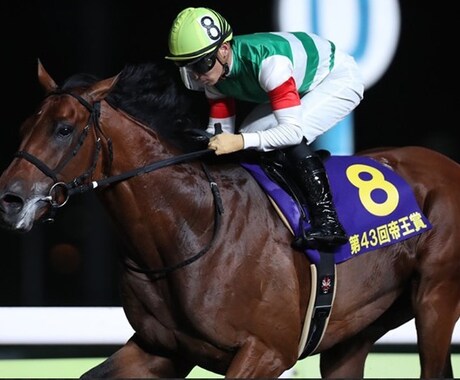 南関競馬！枠複4点で当たる喜びを味わえます データも予想も知識も不要！お堅く稼ぐ競馬投資術 イメージ1