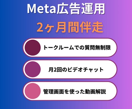 Meta広告運用コンサル【2ヶ月間】伴走いたします 現役の広告運用コンサルタントが個別コンサルいたします イメージ2