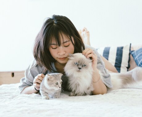 愛するペットの気持ちをタロットで読み解きます タロットでペットの本音を読み解き、あなたに伝えます！ イメージ2