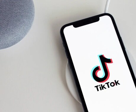 TikTok動画投稿についてコンサルタントします TikTok動画プロデュースの専門家 イメージ1