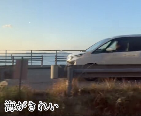 動画編集いたします YouTubeやSNS用の動画、縦でも横でもお任せください！ イメージ2