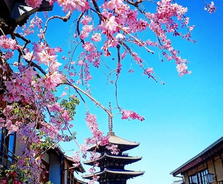 京都の四季の写真を提供します 京都の癒される四季折々の写真を！ イメージ1