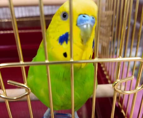 愚痴や悩みを聞きます。あなたの心にに寄り添います 心の中のモヤモヤを吐き出して楽になりましょう イメージ1