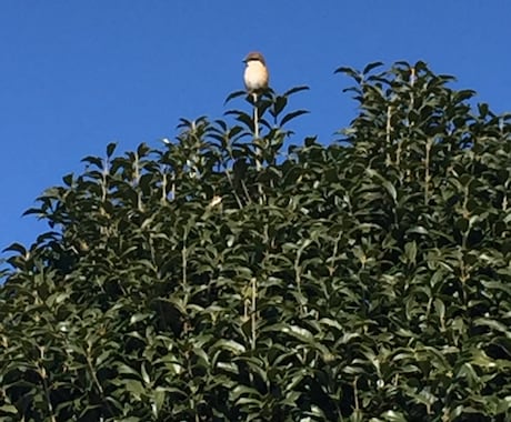 一寸先は光✨✨恋愛✨人間関係✨タロットで告げます 感覚✨直感✨目に見えないそこにあるキラキラ光る心を支えます イメージ2