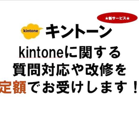 定額でkintoneに関するサポートします 【認定パートナー】中小企業のkintoneシステムを定額開発 イメージ1
