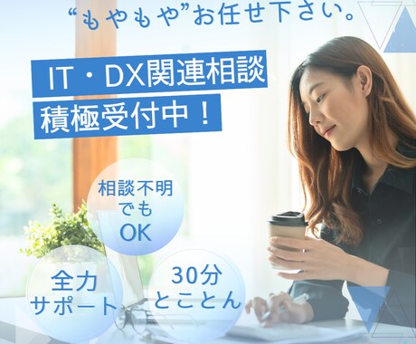 ITのモヤモヤ、30分相談受け付けます 次の一手が見える！30分集中相談。課題解決、全力サポート イメージ1