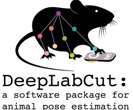 DeepLabCutでの行動解析の代行をします 動画内の動物の行動をトラッキングし、座標を出力します。 イメージ1