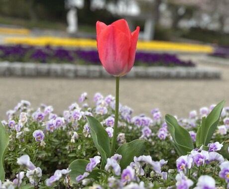 美容整形体験者が質問に答えます 済施術は脂肪吸引(顔腕下腿)、目頭切開、二重埋没、Gメッシュ イメージ1