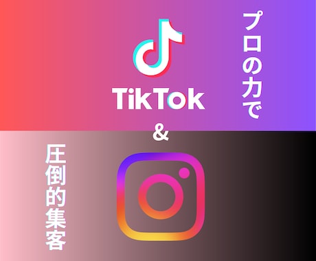 現役プロがInstagramTikTok運用します Instagram,TikTokの運用をいたします！ イメージ1