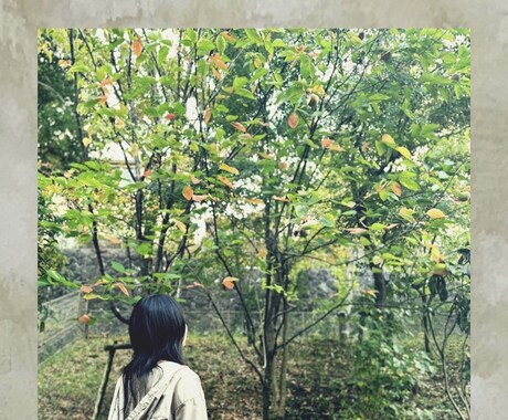 心のモヤモヤ聞きます 20代のHSPがおはなし聞きます イメージ1