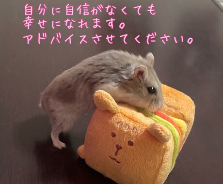 今すぐ対応可能！タロットを使ってお悩みお聞きします 1時間LINE感覚 or 3日間のんびりチャット♪ イメージ1