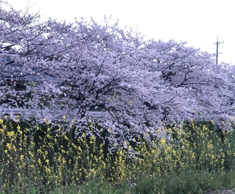 どんな小さな事でもお聞きします あなたの些細な事何でも聞かせてください＾＾ イメージ1