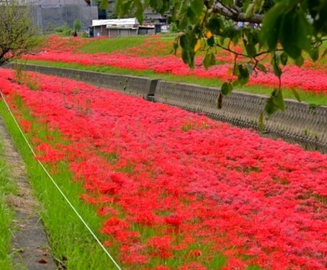 元経営管理者が人間関係などの相談のります 様々な悩み一人で悩まず、一緒に解決していきましょう イメージ1