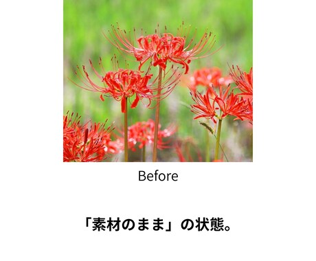 楽天・Yahoo・メルカリ！売れるページ制作します 現役運営者が伝授！自前画像を活かしたSEOとスマホバナー制作 イメージ1