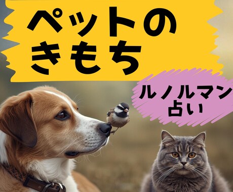 ペットのきもちルノルマンカードで占います その子の本音や運勢、やってあげると喜ぶこともお伝えします♪ イメージ1