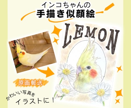 ペットのインコちゃんの似顔絵イラスト作成します ポスター風でリアル調なイラスト/どんな飼い鳥さんでもOK イメージ1