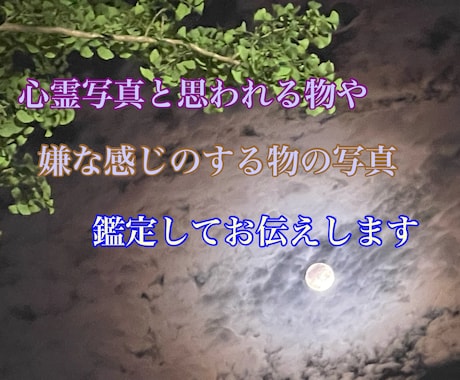 心霊写真と思われる物、嫌だと感じる物を鑑定します 心霊写真と思われる物や、嫌だと感じる物の写真を鑑定します。 イメージ1